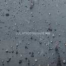 Luchtfoto SAIL Amsterdam 2015 - Luchtfotografie.NU (55 van 169).jpg